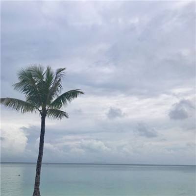 九游霸王天下手游下载
